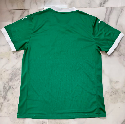 25/26 Palmeiras home