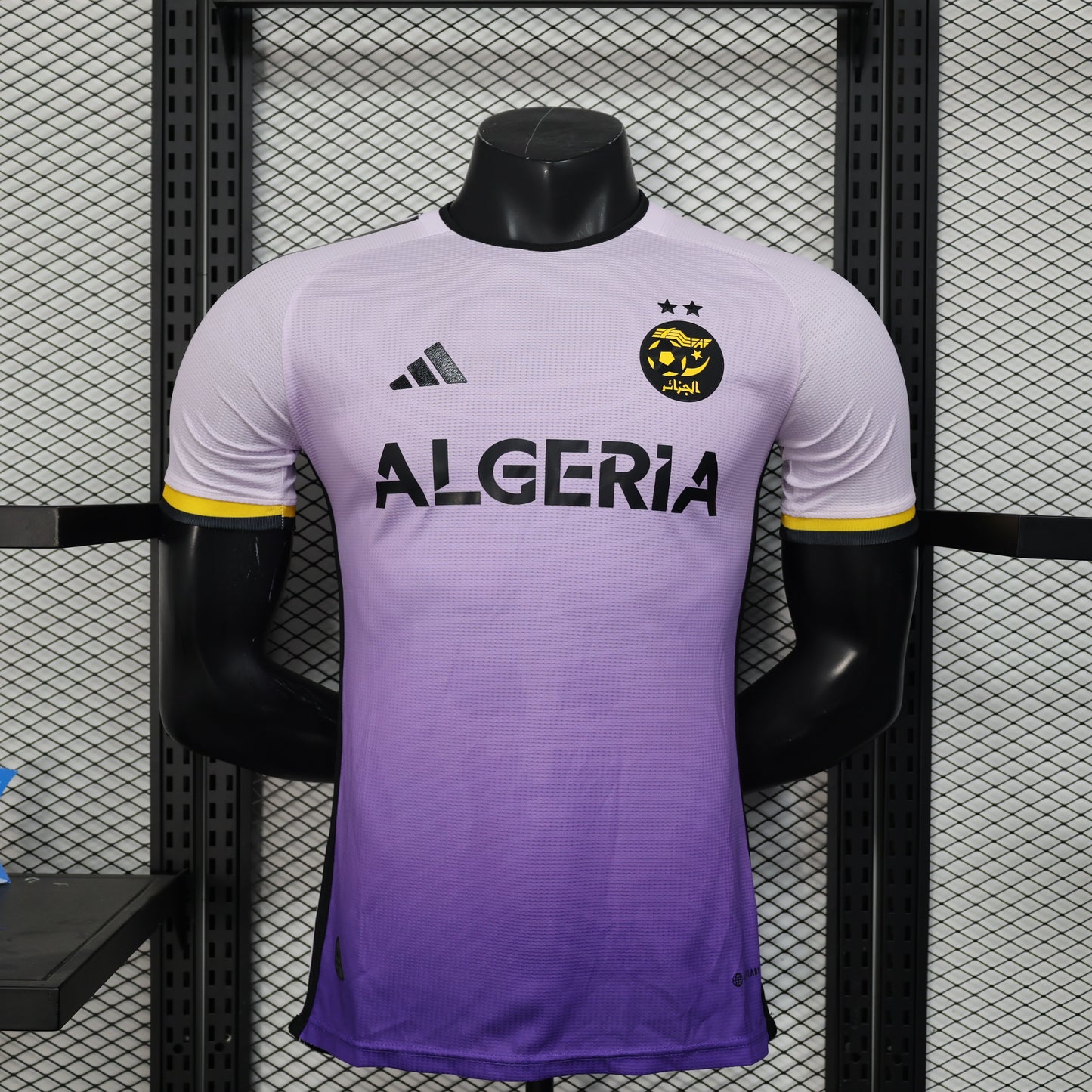 Player Version 25/26 Algeria