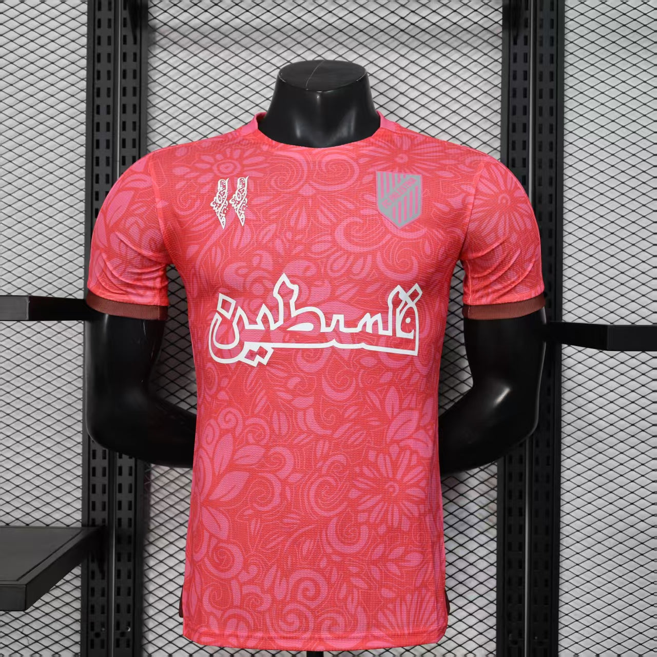 Player Version 25/26 Palestine