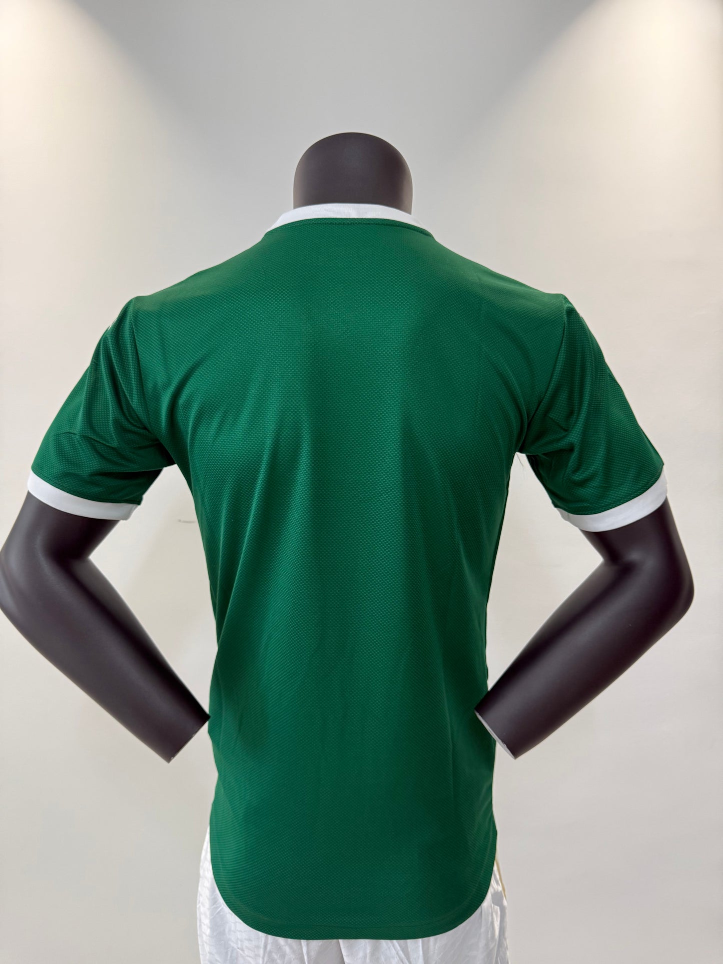 25/26 Palmeiras home