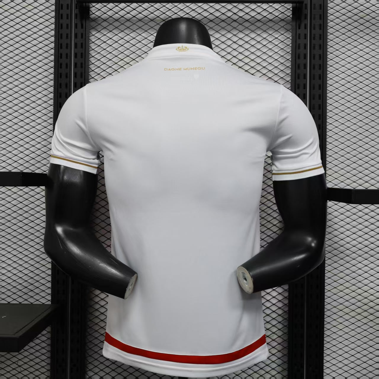 Version 25/26 Monaco's home