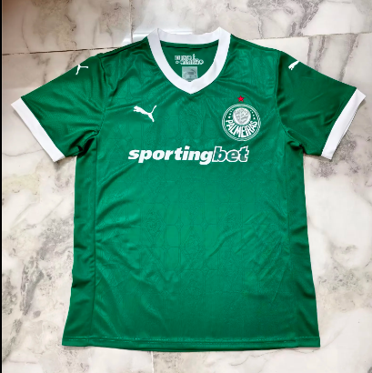 25/26 Palmeiras home