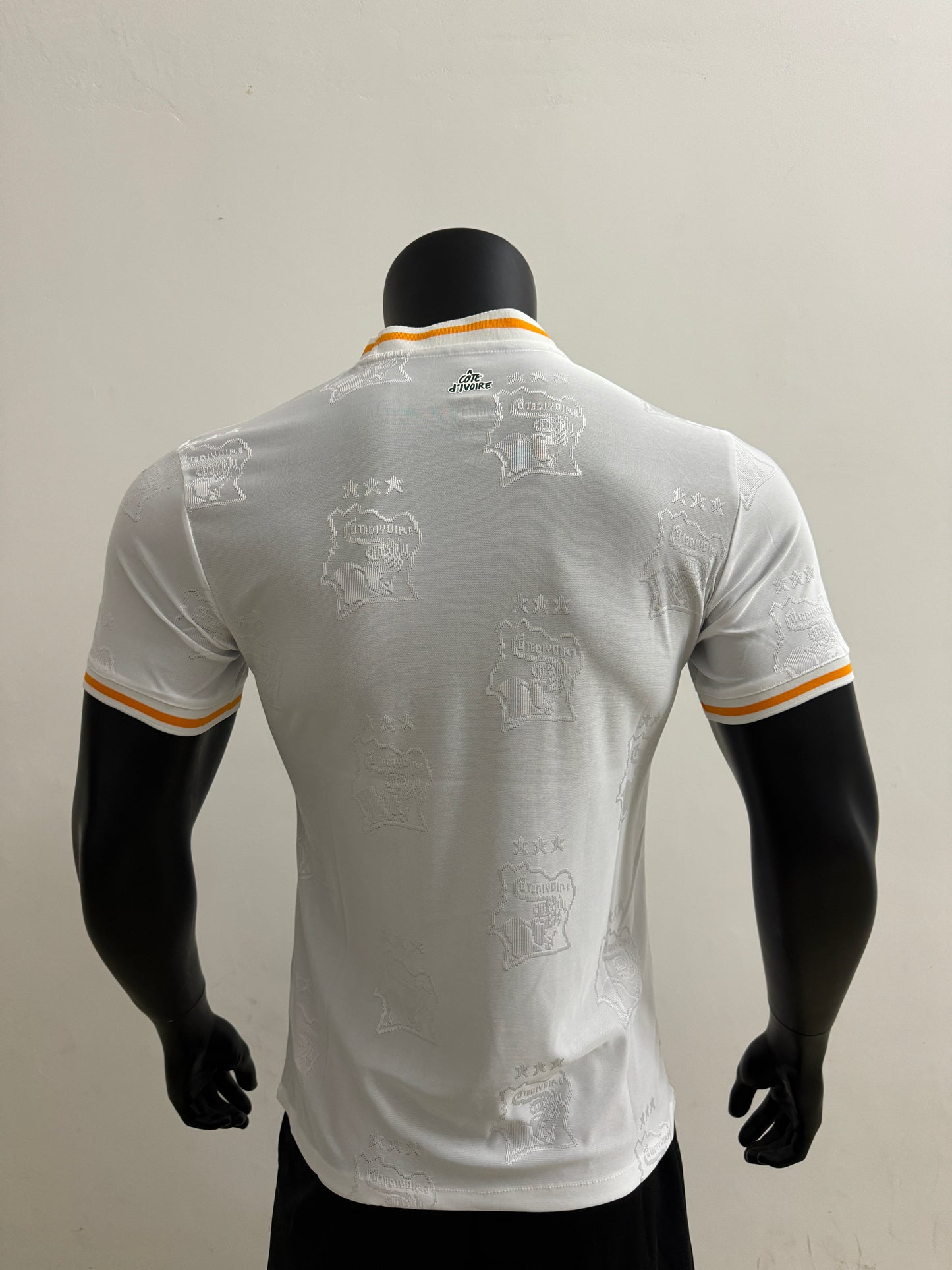 Player Version 25/26 Ivory Coast