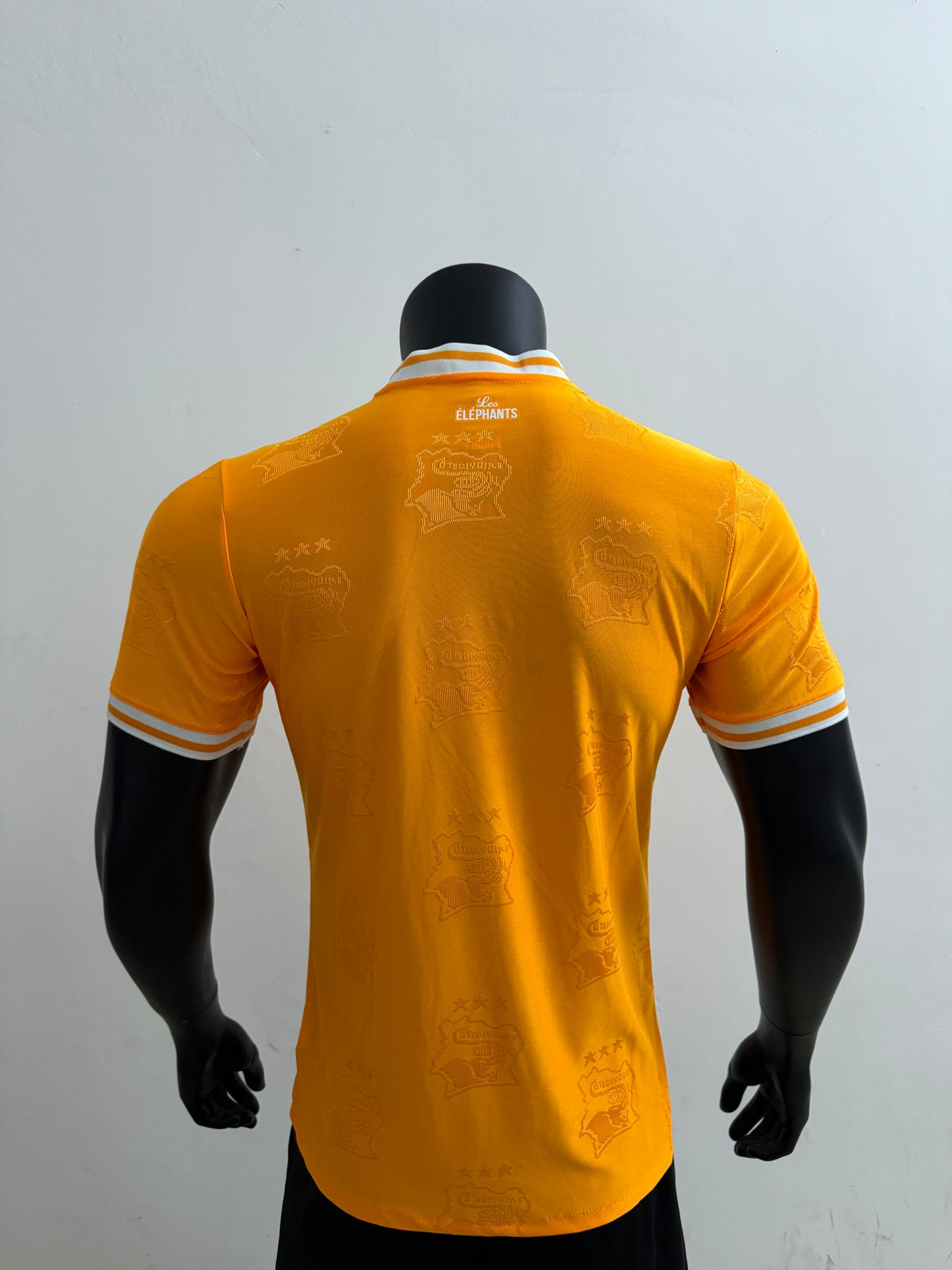 Player Version 25/26 Ivory Coast