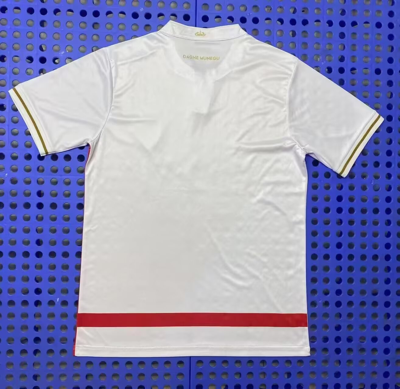 Version 25/26 Monaco's home
