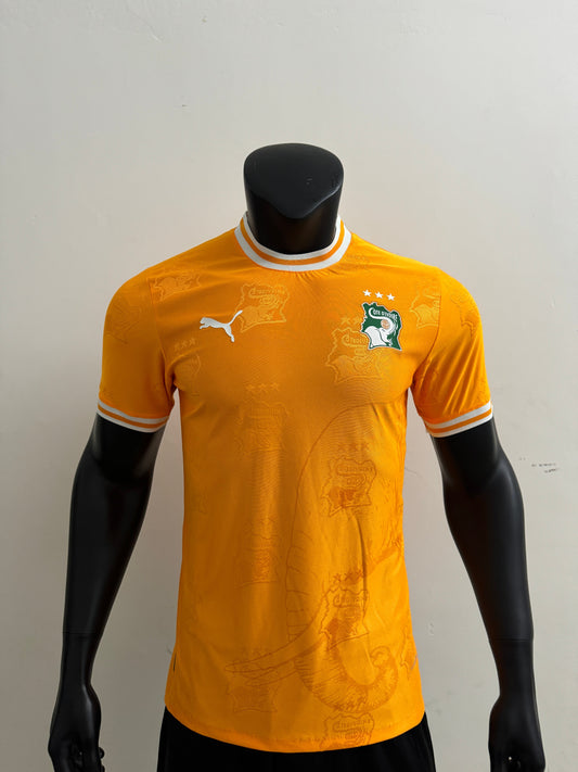 Player Version 25/26 Ivory Coast